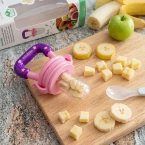 Baby Fruit & Vegetable Feeder | Fresh Food Feeder for Babies | Fruit Nibbler with Handle