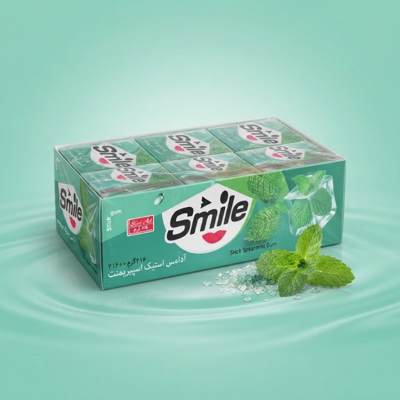 Smile Stick Spearmint Chewing Gum - Value Pack
